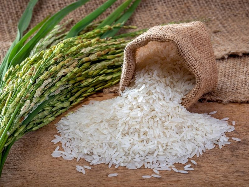 Gạo tẻ là nguyên liệu chính để làm bánh tráng phơi sương Tây Ninh 