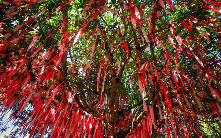 Những dải lụa đỏ mang theo hàng ngàn mong ước của du khách khi đến hồ Núi Đá