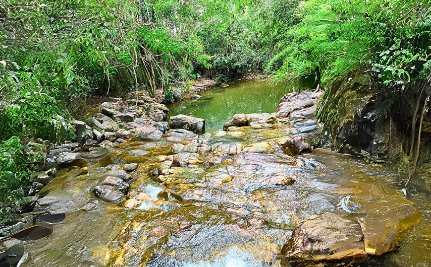 Con suối mát nằm giữa rừng thiên nhiên hoang sơ