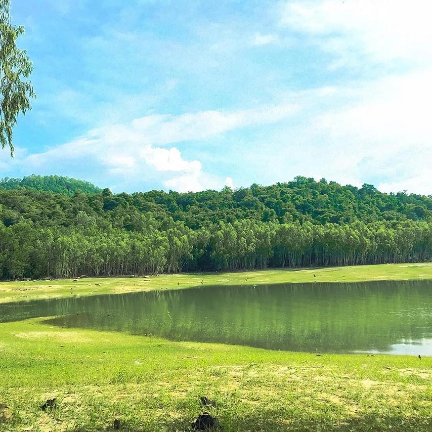 Cánh rừng bên hồ với màu xanh bát ngát 