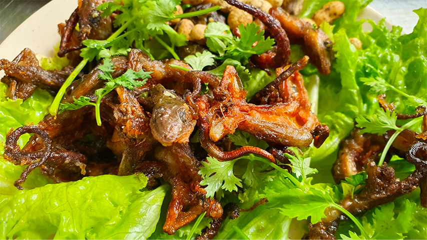 Thằn lằn núi Tây Ninh được chế biến thành nhiều món bổ dưỡng vì giá trị dinh dưỡng cao 
