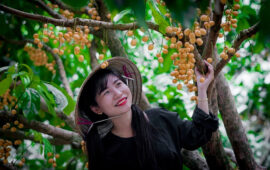 Vườn trái cây Gò Chùa: Trải nghiệm không khí miệt vườn Nam Bộ