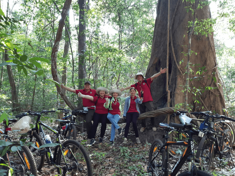 Đoàn khách đạp xe du ngoạn dừng chân nghỉ ngơi tại một thân cây hình cung