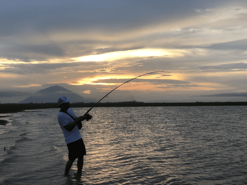 Du khách trải nghiệm câu cá tại hồ 