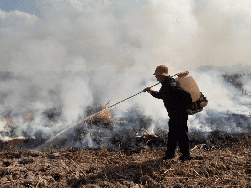 Ban quản lý thực hiện tập huấn phòng cháy, chữa cháy rừng năm 2023