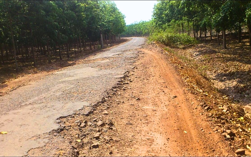 Con đường mòn dẫn đến Suối Bà Chiêm ở Tây Ninh 