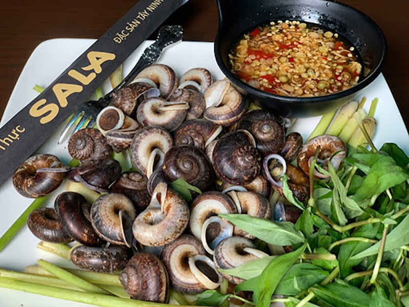 Đặc sản ẩm thực ở Tây Ninh với món ốc núi Bà Đen cùng hương vị thơm ngon và cực kỳ bổ dưỡng
