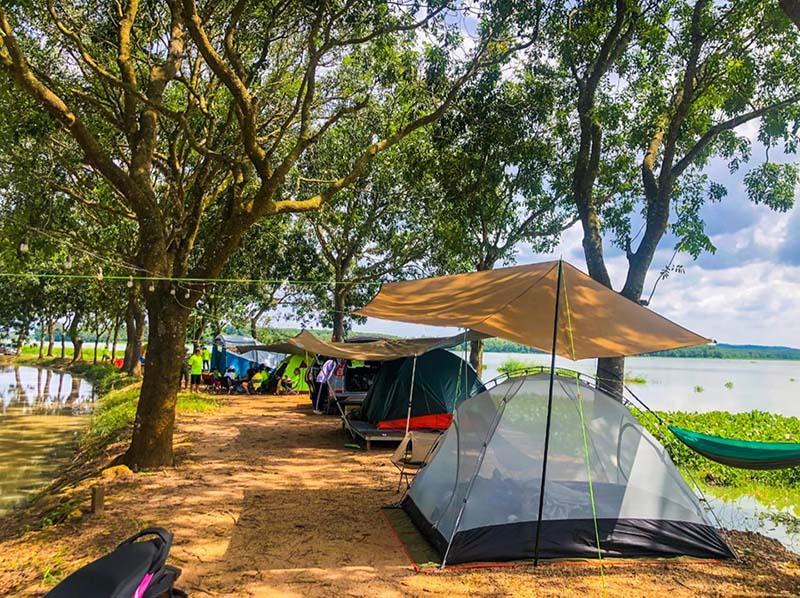 Du khách cắm trại dưới hàng cây ven hồ