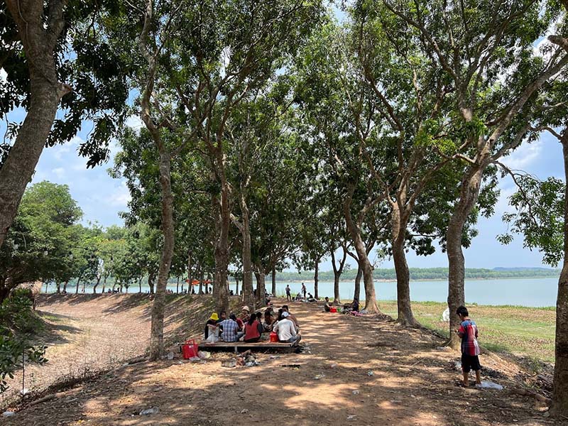Hàng cây cao hơn 30 năm tuổi trồng rợp bóng mát tại Nông trại Phú Gia