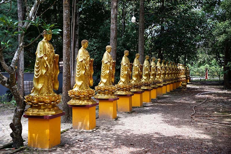Hàng dài tượng Phật sơn son thếp vàng độc đáo tại chùa