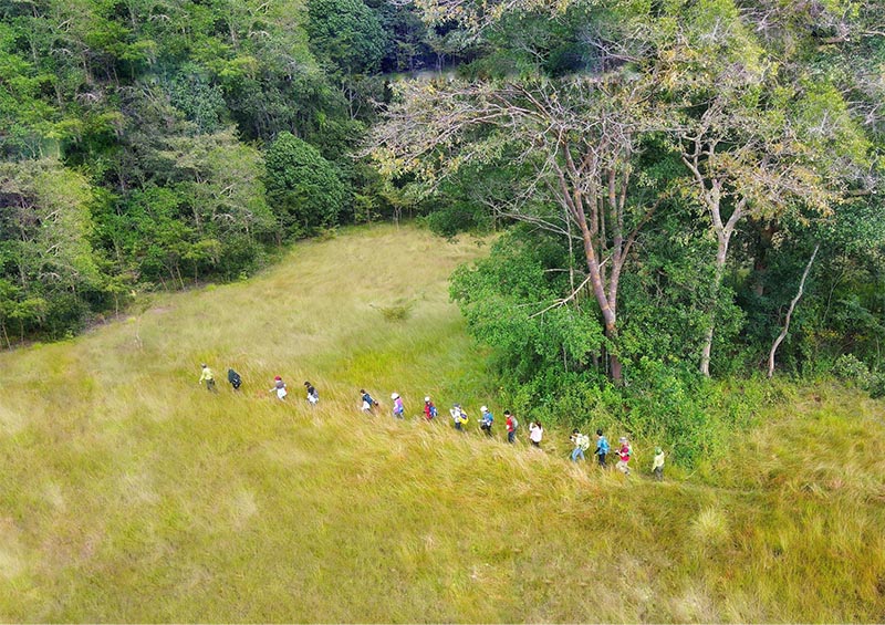 Hoạt động trekking xuyên rừng, băng qua những trảng cỏ trong vườn quốc gia Lò Gò Ma Xát
